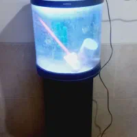 آکواریوم ماهیران شیشه خم با پایه