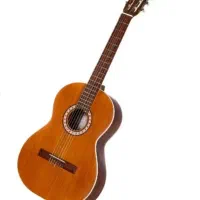 گیتار کلاسیک  پارسی m5|گیتار، بیس، امپلیفایر|همدان, |دیوار