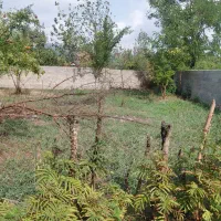 فروش-زمین