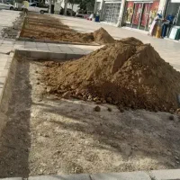 انجام خدمات باغبانی باغچه ،هرس ،کاشت|خدمات باغبانی و درختکاری|قم, شهرک قدس|دیوار