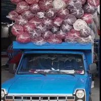 قالیشویی(چهارفصل)کرایه حمل ندارد مرزداران کرگه نصر