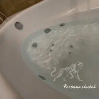 وان و جکوزی چیتا یک نفره ۱۰۰×۱۵۰ LX (۲ قالب مختلف)|لوازم حمام|تهران, خانی آباد نو جنوبی|دیوار