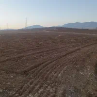 فروش زمینی زراعی آدینان|فروش زمین و ملک کلنگی|زیویه, |دیوار