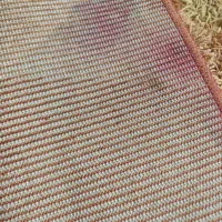 فرشینه پرز بلند