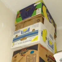 کارتن موز جعبه موز کارتون موز اسباب کشی