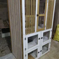 جفتگاه کبوتر