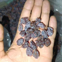 مویز بش دشمن زیاری