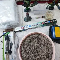 آکواریوم عروسک با متعلقات کامل رایگان|ماهی|رشت, دیانتی|دیوار