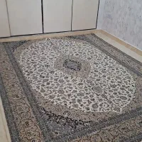 ۵۷متری رهن ۱۵۰ ماهی ۳|اجارهٔ آپارتمان|قرچک, باقرآباد|دیوار