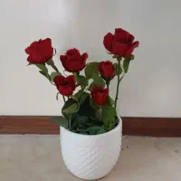 گل وگلدان سفید