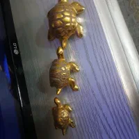 دکوری لاک پشت