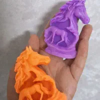 اسب تو دلی نماد سال