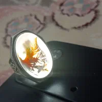 انگشتر شجر کلکسیونی کمیاب.تماس .