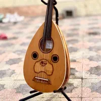 عود الکتروآکوستیک