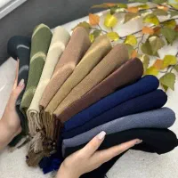 شال پاییزه و‌کلاه|لباس|تربت جام, شهید مدرس|دیوار