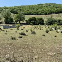 زمین-مرزن-آباد-باندر