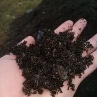 فروش کود حیوانی خاک برگ خاک باغچه و...|خدمات باغبانی و درختکاری|لنگرود, |دیوار