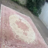 فرش ۹متری|فرش|رشت, پل تالشان|دیوار