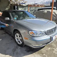 ماکسیما  خاکستری