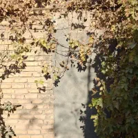 اجاره فاضل 11|اجارهٔ خانه و ویلا|تربت جام, شهرک معلم|دیوار