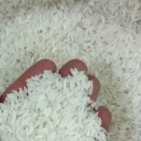 برنج تنظیم بازار رسید