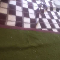 پتو