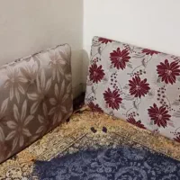 پشتی دو‌رو