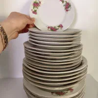 ظروف پذیرایی وغیره