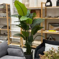 انواع گیاه و گل مصنوعی (اقساط) آکوهوم|گل مصنوعی|کیش, |دیوار