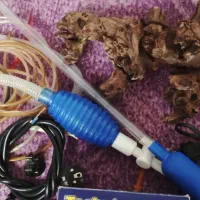 لوازم آکواریوم|ماهی|نسیم‌شهر, |دیوار