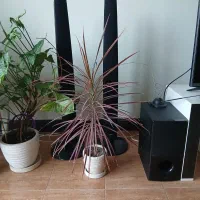 سینما خانگی LG|سیستم صوتی خانگی|تهران, شهران شمالی|دیوار