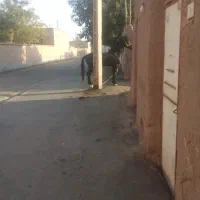 اسب|اسب و تجهیزات اسب‌سواری|پاکدشت, پاکدشت (مامازند)|دیوار