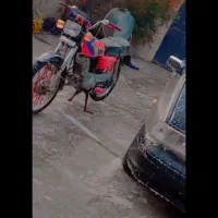 موتور 150|موتورسیکلت|آزادشهر, |دیوار