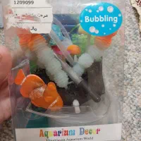 فروش آکواریوم به دلیل مهاجرت|ماهی|کازرون, |دیوار