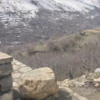 هرکاری باشه درخدمتم