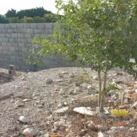 فروش زمین تجاری و صنعتی در بهارستان