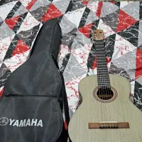 گیتار در حد نو