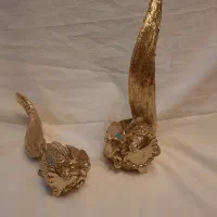 ماهی دکوری طلایی