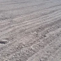 زمین در قطعات ۶۰۰ متری ملکشاهی|فروش زمین و ملک کلنگی|ملکشاهی, |دیوار