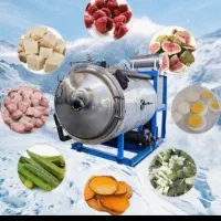 هم افزایی رایگان بستنی خشک و غذای پت