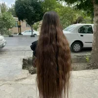 (فروش) خرید مو بالاترازهمه خریداران خریدار مو