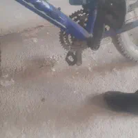 دوچرخه ۲۶ پلیس|دوچرخه، اسکیت، اسکوتر|نورآباد, |دیوار