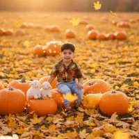 ادیت حرفه ای عکس|خدمات پذیرایی، مراسم|صفادشت, |دیوار