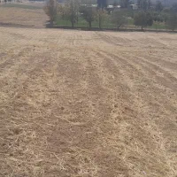 فروش زمین رباط نمکی مناسب ویلاباغ و گلخانه و غیره|فروش زمین و ملک کلنگی|خرم‌آباد, |دیوار