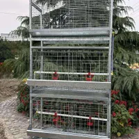 فروش قفسه مر غ تخمگذار و بلدر چین تخمگذار|ماشین‌آلات صنعتی|آمل, |دیوار