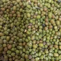 ماش محلی ارگانیک|خوردنی و آشامیدنی|آبدانان, |دیوار