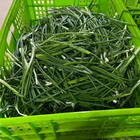 کارگر ساده در سبزی خردکنی باجای خواب،خانم یاآقا|استخدام خدمات فروشگاه و رستوران|تهران, خزانه|دیوار