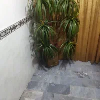 درختچه مصنویی