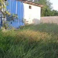 زمین مسکونی رامسر شستا