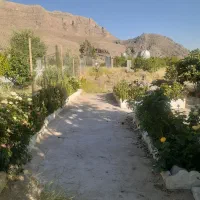 باغ ویلا